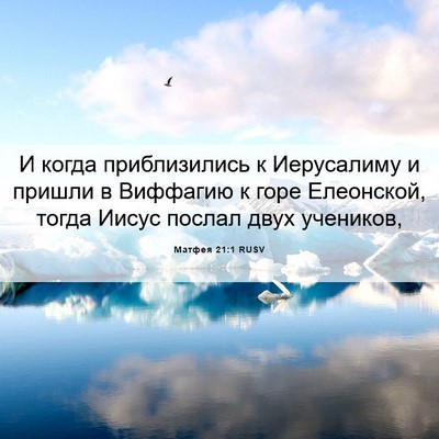Picture 06 - Матфея 21:1 RUSV - И когда приблизились к - Bible Verse Picture