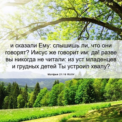 Picture 06 - Матфея 21:16 RUSV - и сказали Ему: слышишь ли, - Bible Verse Picture