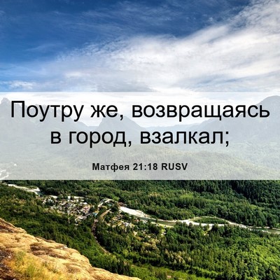 Picture 06 - Матфея 21:18 RUSV - Поутру же, возвращаясь в - Bible Verse Picture