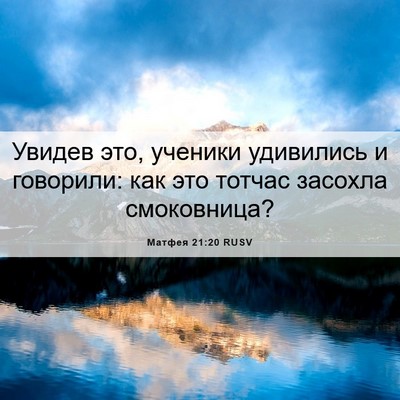 Picture 06 - Матфея 21:20 RUSV - Увидев это, ученики - Bible Verse Picture