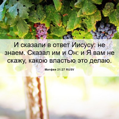 Picture 06 - Матфея 21:27 RUSV - И сказали в ответ Иисусу: - Bible Verse Picture