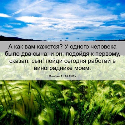 Picture 06 - Матфея 21:28 RUSV - А как вам кажется? У одного - Bible Verse Picture