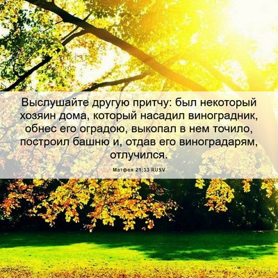 Picture 06 - Матфея 21:33 RUSV - Выслушайте другую притчу: - Bible Verse Picture