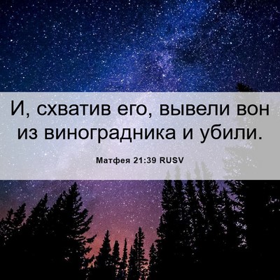 Picture 06 - Матфея 21:39 RUSV - И, схватив его, вывели вон - Bible Verse Picture