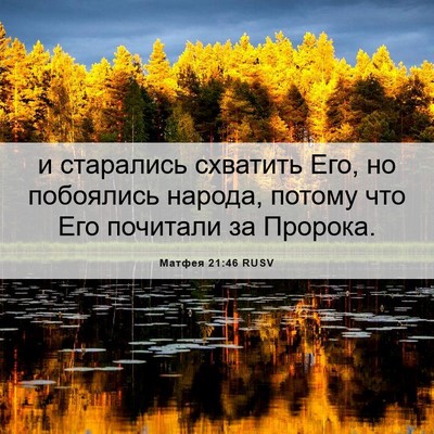 Picture 06 - Матфея 21:46 RUSV - и старались схватить Его, - Bible Verse Picture