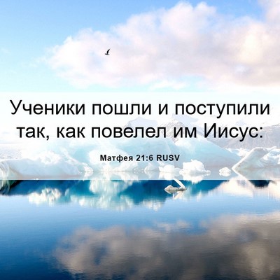 Picture 06 - Матфея 21:6 RUSV - Ученики пошли и поступили - Bible Verse Picture