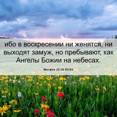 Picture 06 - Матфея 22:30 RUSV - ибо в воскресении ни - Bible Verse Picture