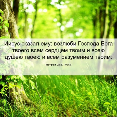 Picture 06 - Матфея 22:37 RUSV - Иисус сказал ему: возлюби - Bible Verse Picture