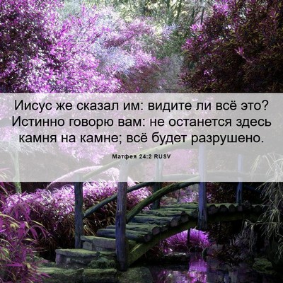 Picture 06 - Матфея 24:2 RUSV - Иисус же сказал им: видите - Bible Verse Picture
