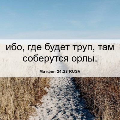 Picture 06 - Матфея 24:28 RUSV - ибо, где будет труп, там - Bible Verse Picture