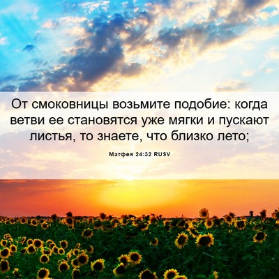 Picture 06 - Матфея 24:32 RUSV - От смоковницы возьмите - Bible Verse Picture