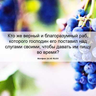 Picture 06 - Матфея 24:45 RUSV - Кто же верный и - Bible Verse Picture