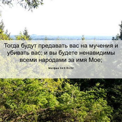 Picture 06 - Матфея 24:9 RUSV - Тогда будут предавать вас - Bible Verse Picture