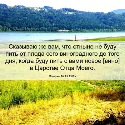 Picture 06 - Матфея 26:29 RUSV - Сказываю же вам, что отныне - Bible Verse Picture