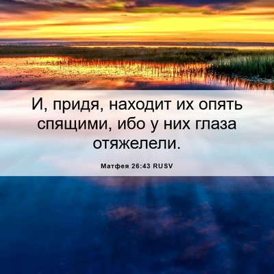 Picture 06 - Матфея 26:43 RUSV - И, придя, находит их опять - Bible Verse Picture