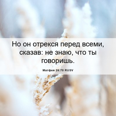 Picture 06 - Матфея 26:70 RUSV - Но он отрекся перед всеми, - Bible Verse Picture