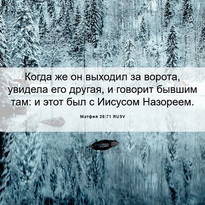 Picture 06 - Матфея 26:71 RUSV - Когда же он выходил за - Bible Verse Picture
