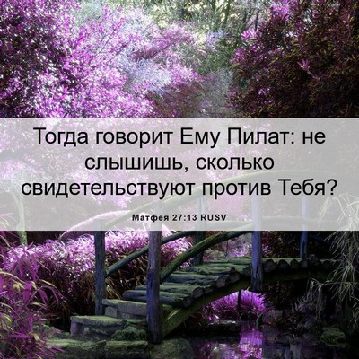 Picture 06 - Матфея 27:13 RUSV - Тогда говорит Ему Пилат: не - Bible Verse Picture