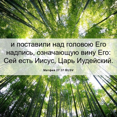 Picture 06 - Матфея 27:37 RUSV - и поставили над головою - Bible Verse Picture
