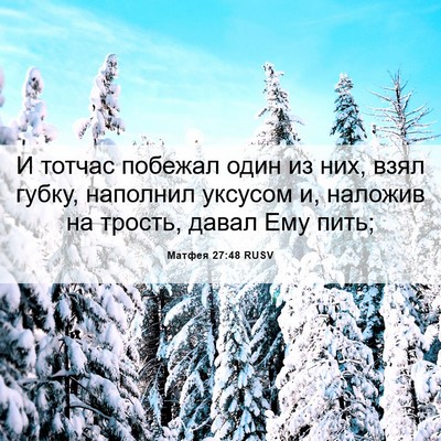 Picture 06 - Матфея 27:48 RUSV - И тотчас побежал один из - Bible Verse Picture