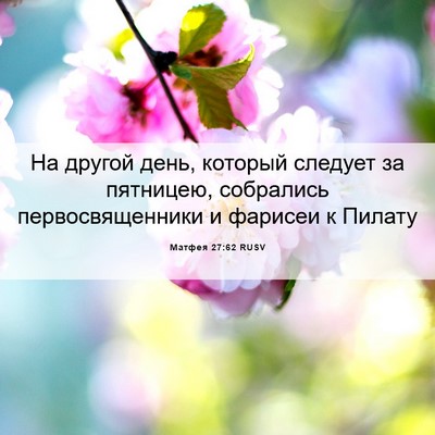 Picture 06 - Матфея 27:62 RUSV - На другой день, который - Bible Verse Picture