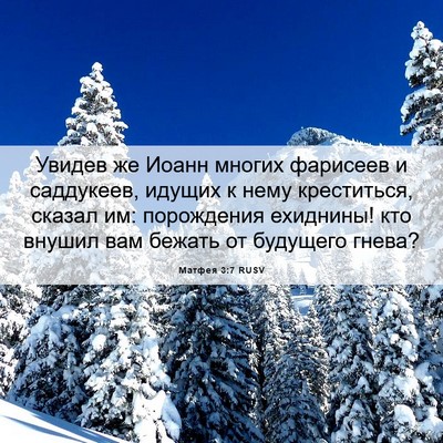 Picture 06 - Матфея 3:7 RUSV - Увидев же Иоанн многих - Bible Verse Picture