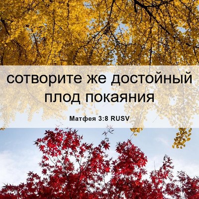 Picture 06 - Матфея 3:8 RUSV - сотворите же достойный - Bible Verse Picture