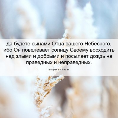 Picture 06 - Матфея 5:45 RUSV - да будете сынами Отца - Bible Verse Picture