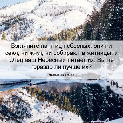 Picture 06 - Матфея 6:26 RUSV - Взгляните на птиц - Bible Verse Picture