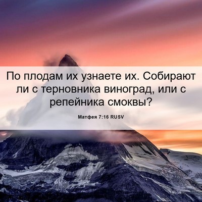 Picture 06 - Матфея 7:16 RUSV - По плодам их узнаете их. - Bible Verse Picture