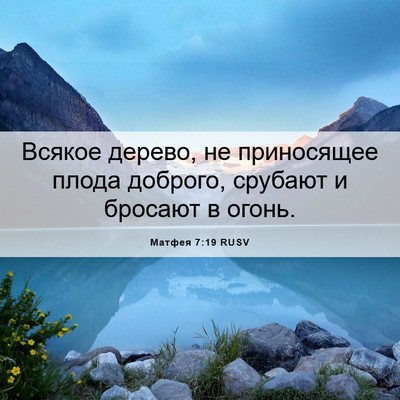 Picture 06 - Матфея 7:19 RUSV - Всякое дерево, не - Bible Verse Picture