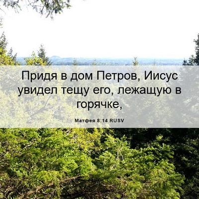 Picture 06 - Матфея 8:14 RUSV - Придя в дом Петров, Иисус - Bible Verse Picture
