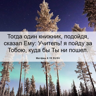Picture 06 - Матфея 8:19 RUSV - Тогда один книжник, - Bible Verse Picture