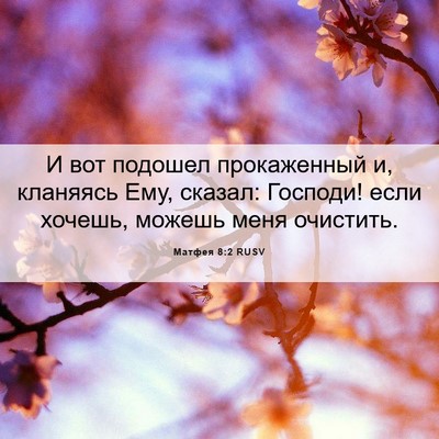 Picture 06 - Матфея 8:2 RUSV - И вот подошел прокаженный - Bible Verse Picture