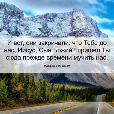 Picture 06 - Матфея 8:29 RUSV - И вот, они закричали: что - Bible Verse Picture