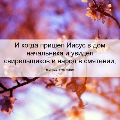Picture 06 - Матфея 9:23 RUSV - И когда пришел Иисус в дом - Bible Verse Picture