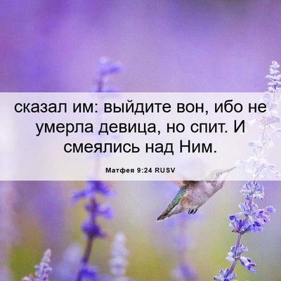 Picture 06 - Матфея 9:24 RUSV - сказал им: выйдите вон, ибо - Bible Verse Picture