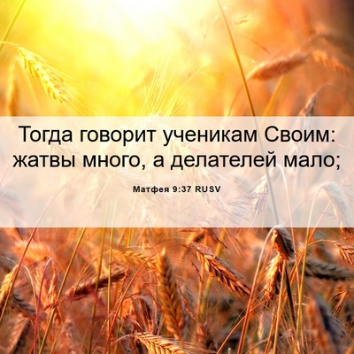 Picture 06 - Матфея 9:37 RUSV - Тогда говорит ученикам - Bible Verse Picture