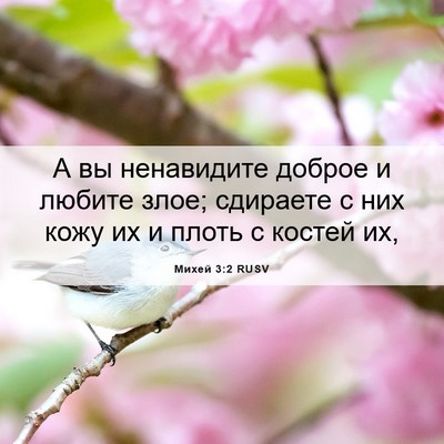 Picture 06 - Михей 3:2 RUSV - А вы ненавидите доброе и - Bible Verse Picture