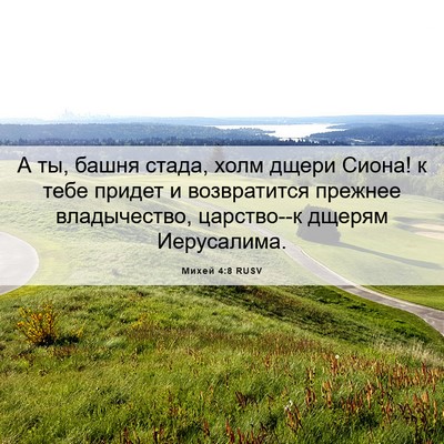 Picture 06 - Михей 4:8 RUSV - А ты, башня стада, холм - Bible Verse Picture