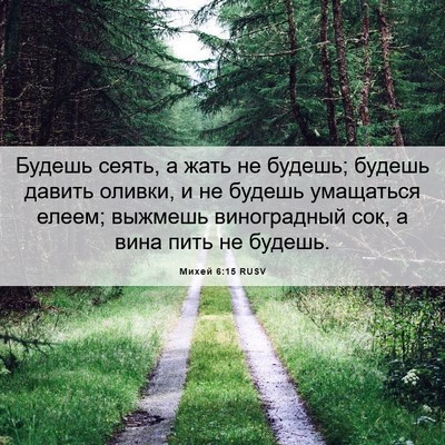 Picture 06 - Михей 6:15 RUSV - Будешь сеять, а жать не - Bible Verse Picture