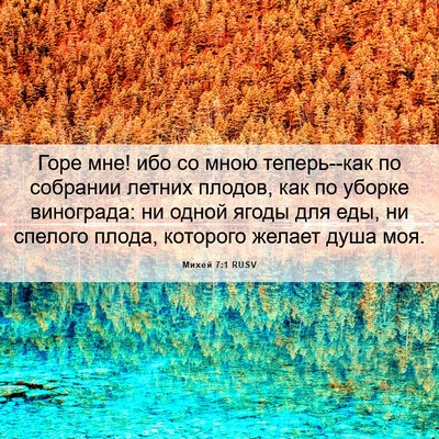 Picture 06 - Михей 7:1 RUSV - Горе мне! ибо со мною - Bible Verse Picture