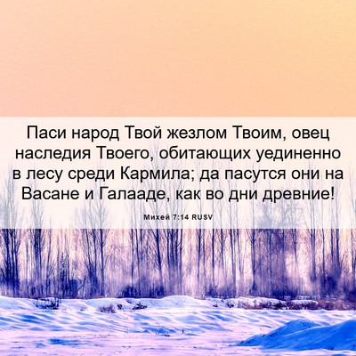 Picture 06 - Михей 7:14 RUSV - Паси народ Твой жезлом - Bible Verse Picture