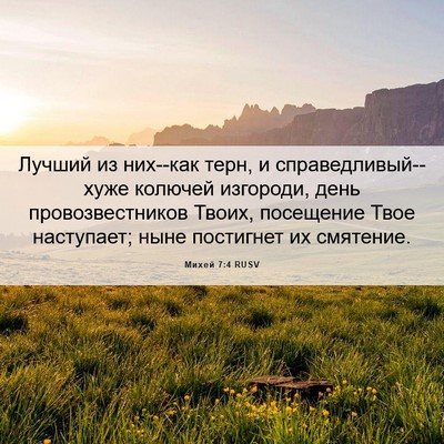 Picture 06 - Михей 7:4 RUSV - Лучший из них--как терн, и - Bible Verse Picture