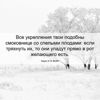 Picture 06 - Наум 3:12 RUSV - Все укрепления твои - Bible Verse Picture