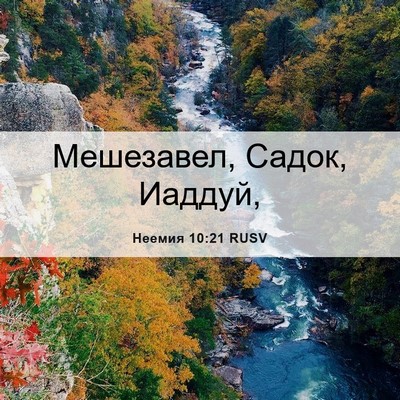 Picture 06 - Неемия 10:21 RUSV - Мешезавел, Садок, - Bible Verse Picture