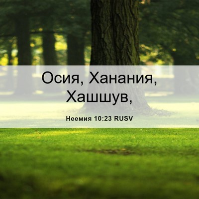 Picture 06 - Неемия 10:23 RUSV - Осия, Ханания, - Bible Verse Picture