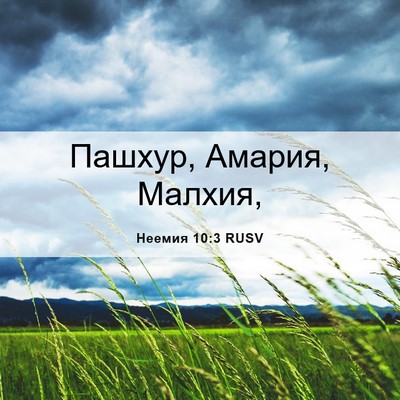 Picture 06 - Неемия 10:3 RUSV - Пашхур, Амария, - Bible Verse Picture