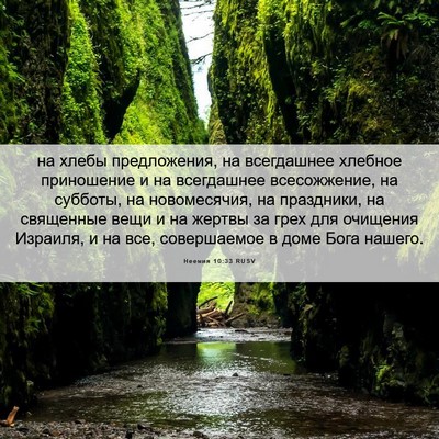 Picture 06 - Неемия 10:33 RUSV - на хлебы предложения, на - Bible Verse Picture