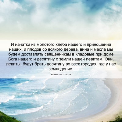 Picture 06 - Неемия 10:37 RUSV - И начатки из молотого - Bible Verse Picture